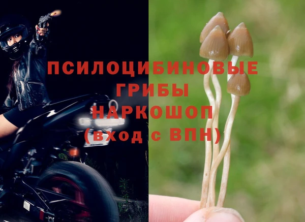 гидра Балабаново