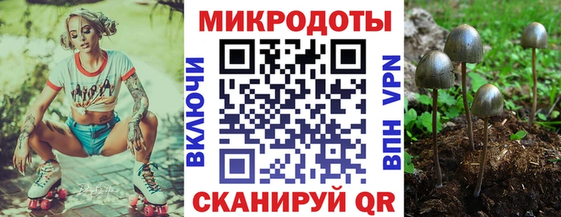 Галлюциногенные грибы Cubensis  MEGA ссылка  Подпорожье 